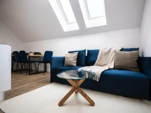 Pronájem bytu 3+kk, Praha - Nové Město, Biskupská, 50 m2