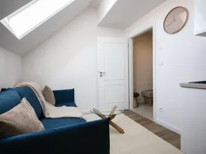 Pronájem bytu 3+kk, Praha - Nové Město, Petrská, 50 m2