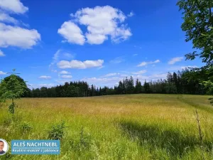 Prodej pozemku, Zásada, 2647 m2