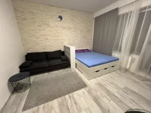 Pronájem bytu 1+kk, Praha - Nové Město, Krakovská, 36 m2
