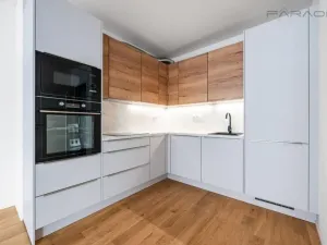 Pronájem bytu 2+kk, Praha - Břevnov, Bělohorská, 111 m2