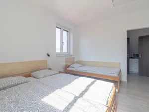 Prodej ubytování, Horní Stropnice - Chlupatá Ves, 288 m2