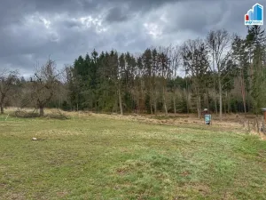Prodej pozemku pro bydlení, Příchovice - Zálesí, Příchovice, 2190 m2