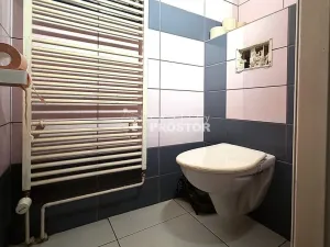 Prodej vícegeneračního domu, Ledčice, 149 m2