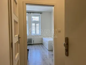 Pronájem bytu 1+kk, Praha - Braník, Na vinohradu, 22 m2