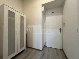 Pronájem bytu 1+kk, Praha - Braník, Na vinohradu, 22 m2