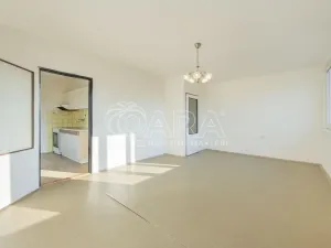 Prodej bytu 3+1, Netvořice, Sídliště II., 73 m2