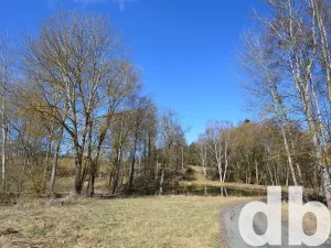 Prodej rybníku, Toužim, 5506 m2