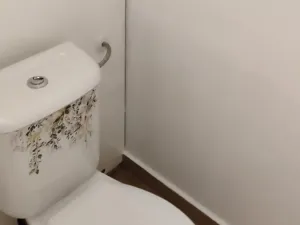 Prodej bytu 2+1, Frýdek-Místek - Frýdek, Novodvorská, 45 m2