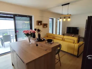 Prodej bytu 2+kk, Ostrava - Michálkovice, Kasalického, 132 m2