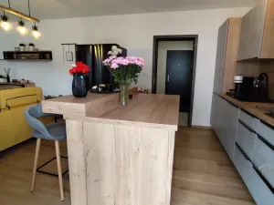 Prodej bytu 2+kk, Ostrava - Michálkovice, Kasalického, 132 m2