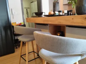 Prodej bytu 2+kk, Ostrava - Michálkovice, Kasalického, 132 m2