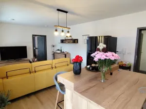 Prodej bytu 2+kk, Ostrava - Michálkovice, Kasalického, 132 m2