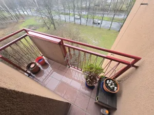 Prodej bytu 2+1, Havířov - Město, Hlavní třída, 50 m2