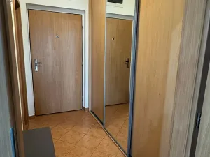 Pronájem bytu 1+kk, Brno, Kosmova, 40 m2