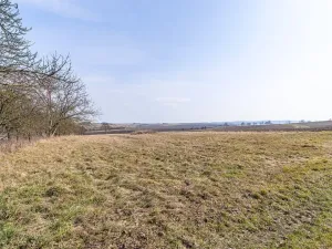 Prodej pozemku pro bydlení, Vícov, 2088 m2