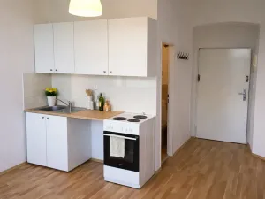 Pronájem bytu 1+kk, Praha - Holešovice, Kamenická, 20 m2
