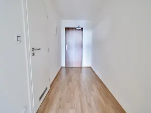 Pronájem bytu 1+kk, Brno - Slatina, Řípská, 40 m2