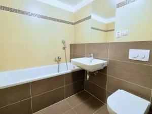 Pronájem bytu 1+kk, Brno - Slatina, Řípská, 40 m2