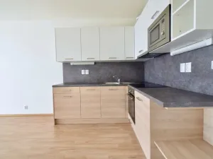 Pronájem bytu 1+kk, Brno - Slatina, Řípská, 40 m2