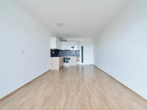 Pronájem bytu 1+kk, Brno - Slatina, Řípská, 40 m2