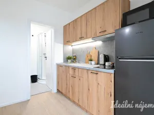 Pronájem bytu 1+1, Brno - Židenice, Bubeníčkova, 25 m2