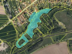 Prodej komerčního pozemku, Dolní Cerekev, 16901 m2