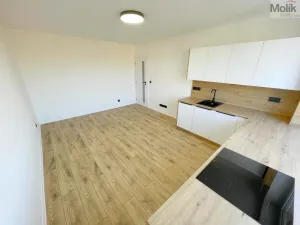 Pronájem bytu 3+kk, Most, 1. máje, 53 m2