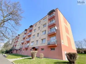 Pronájem bytu 3+kk, Most, 1. máje, 53 m2