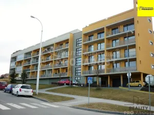 Pronájem bytu 1+kk, Jihlava, Zimní, 30 m2