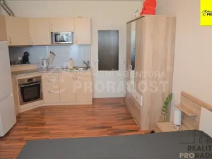 Pronájem bytu 1+kk, Jihlava, Zimní, 30 m2
