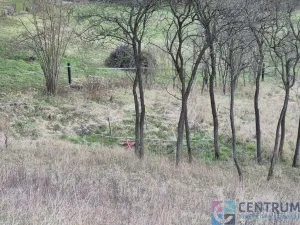 Prodej pozemku, Libuň - Jivany, 11210 m2