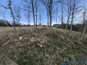 Prodej pozemku, Libuň - Jivany, 11210 m2