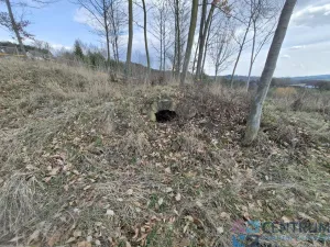 Prodej pozemku, Libuň - Jivany, 11210 m2