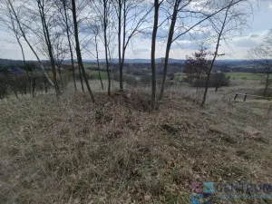 Prodej pozemku, Libuň - Jivany, 11210 m2