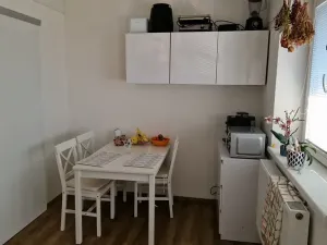 Prodej bytu 1+kk, Olomouc, Erenburgova, 40 m2