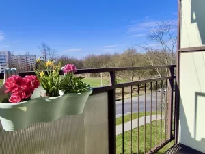 Prodej bytu 2+kk, Ostrava, Polská, 43 m2