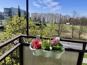 Prodej bytu 2+kk, Ostrava, Polská, 43 m2