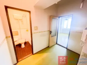 Prodej bytu 1+1, Znojmo, Loucká, 42 m2