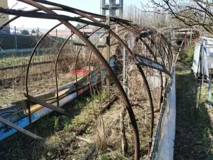 Prodej zahrady, Chomutov, Na Průhoně, 363 m2