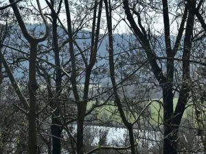 Prodej chaty, Černošice, 41 m2