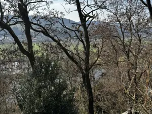 Prodej chaty, Černošice, 41 m2