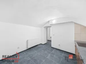 Pronájem - jiné, Plzeň - Jižní Předměstí, Husova, 110 m2