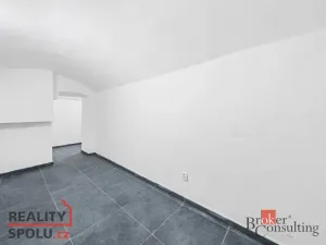 Pronájem - jiné, Plzeň - Jižní Předměstí, Husova, 110 m2