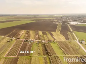 Prodej pozemku pro bydlení, Moravský Žižkov, 1593 m2