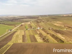 Prodej pozemku pro bydlení, Moravský Žižkov, 1593 m2