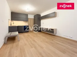 Pronájem bytu 1+kk, Zlín, Nad Stráněmi, 37 m2