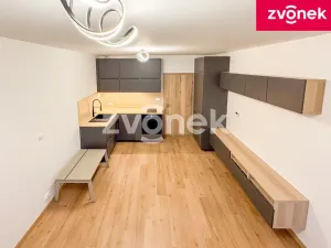 Pronájem bytu 1+kk, Zlín, Nad Stráněmi, 37 m2
