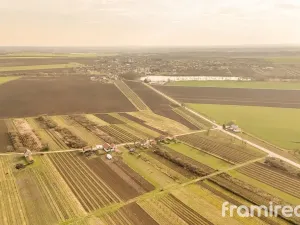 Prodej pozemku, Moravský Žižkov, 2781 m2