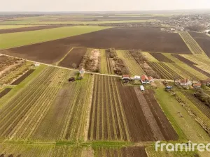 Prodej pozemku, Moravský Žižkov, 2781 m2